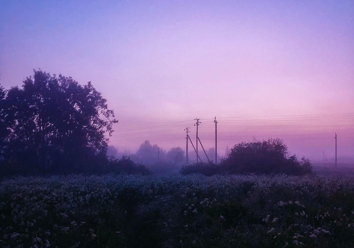 温格解析夏窗新援如何“破坏”利物浦中场体系